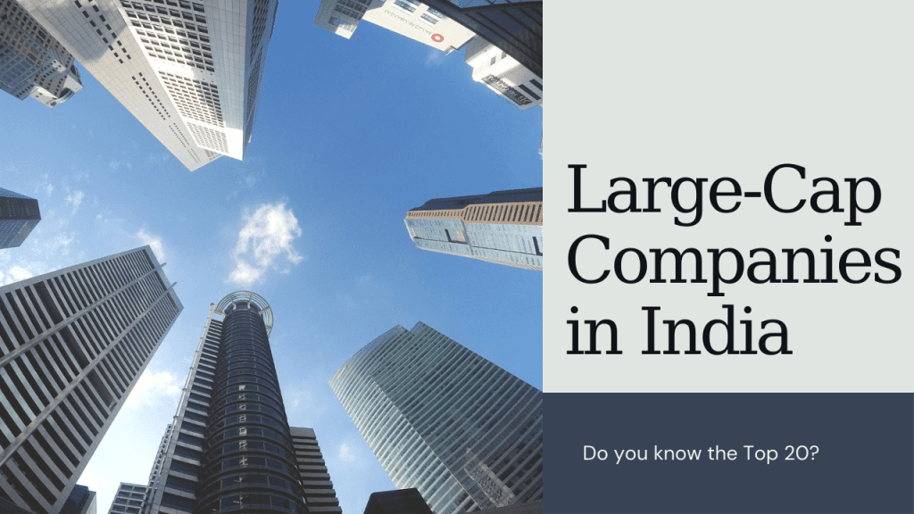 Large-cap Companies in India